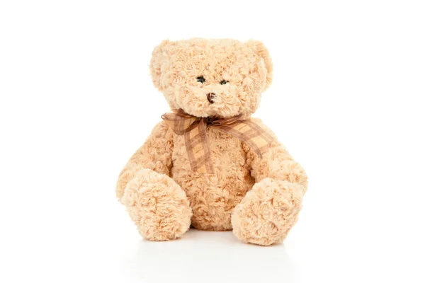 Teddy bear — Stock Photo, Image