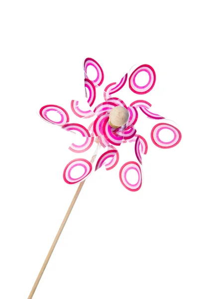 Roze pinwheel — Stockfoto