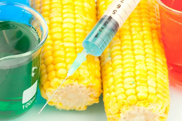 Syringe on corn — Stock Photo, Image