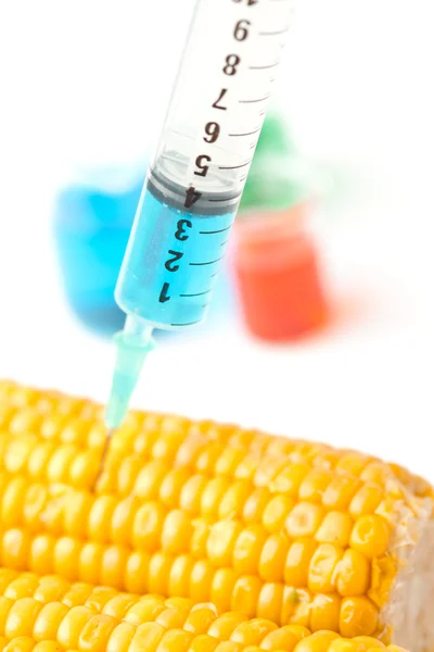 Syringe with corn — Stock Photo, Image