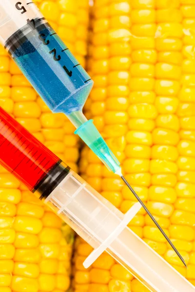 Two syringes on corn — Stock Photo, Image