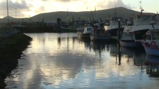 아일랜드에 Dingle의 재고 장면 — 비디오