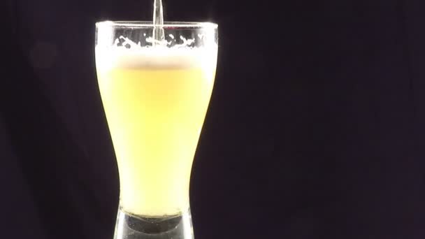 Verter cerveza en un vaso — Vídeo de stock