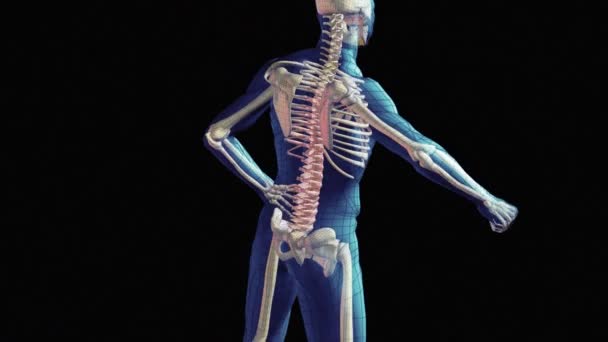 脊髄損傷 — ストック動画