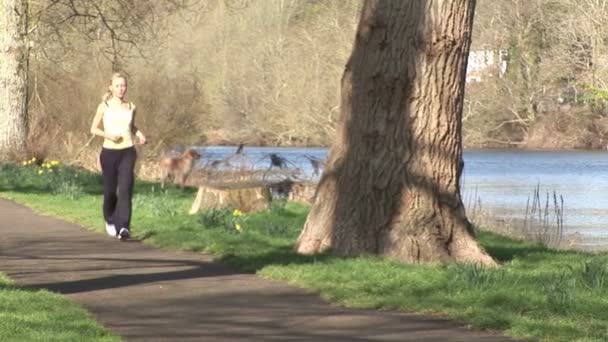Молода жінка, біг підтюпцем — стокове відео