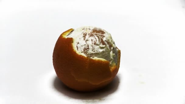 Orange Peeling — Videoclip de stoc