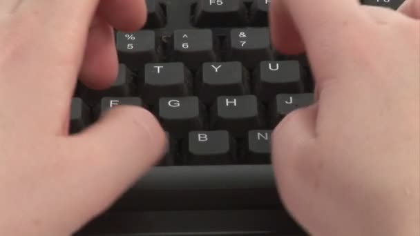 Frau tippt auf Tastatur — Stockvideo