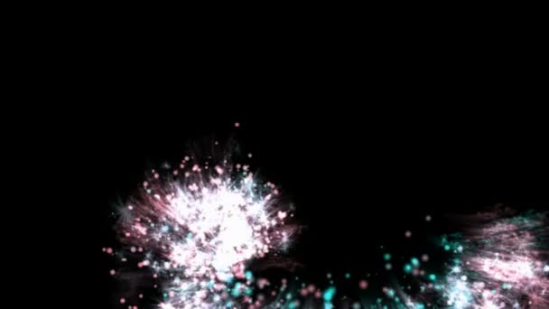 Voorraad animatie van vuurwerk — Stockvideo