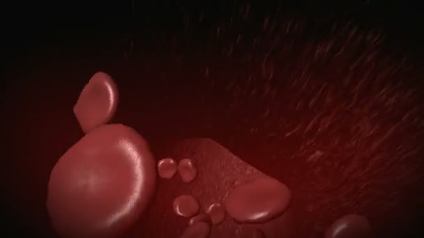 Animazione medica delle cellule del sangue — Video Stock