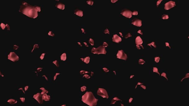 3D анімація пелюсток троянди — стокове відео