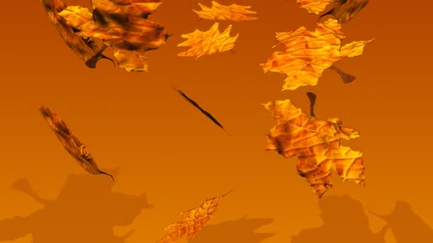 Foglie d'autunno — Video Stock