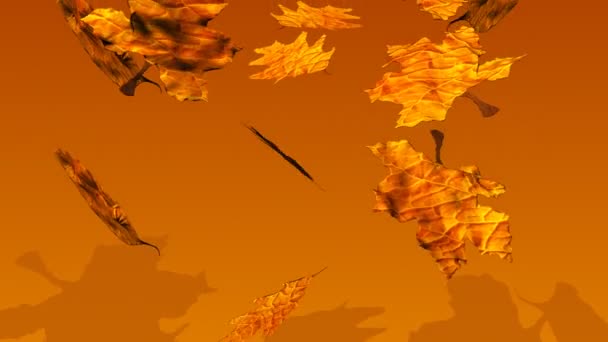 Podzimní listí spadající — Stock video