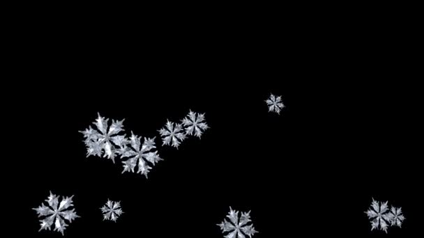 Falling Snowflake — Stock Video