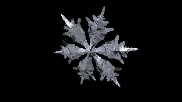 Snowflake Spinning — Stock Video