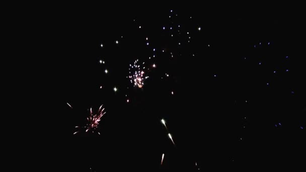 Fuochi artificiali — Video Stock