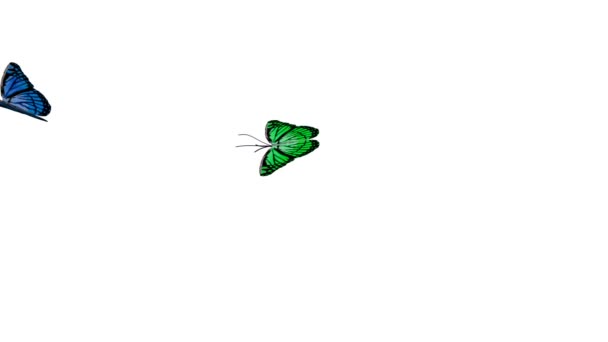 Анимация бабочек — стоковое видео
