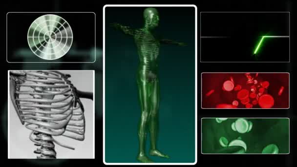 Cuerpo humano digital en 3D — Vídeo de stock