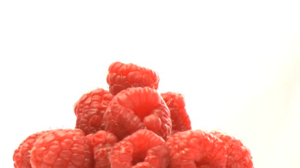 Grono rasberries — Wideo stockowe