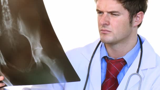 Attractive doctor studying an x-ray — Stok video