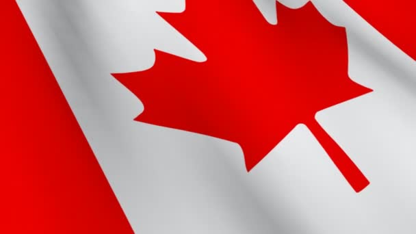 Kanadensisk flagg — Stockvideo