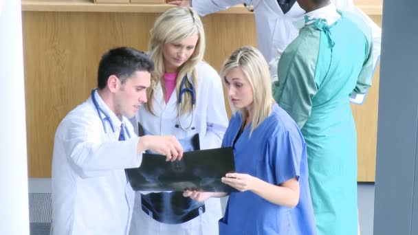 High view of doctors examining an x-ray — Stock Video