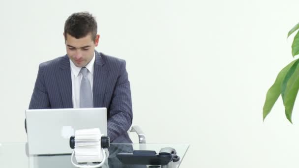 Homme d'affaires prospère travaillant dans le bureau — Video