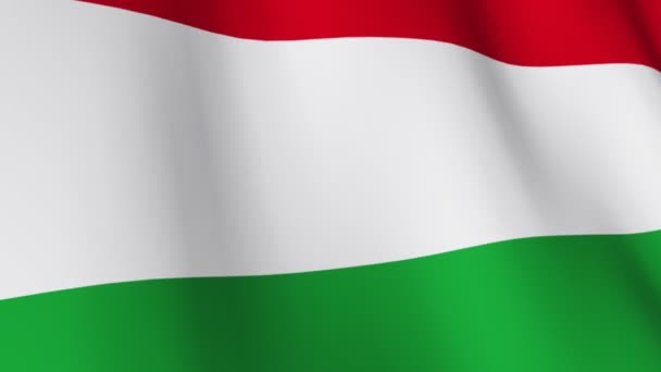 Flag of Hungary — Stock Video