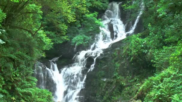 Imágenes del arroyo de montaña — Vídeo de stock