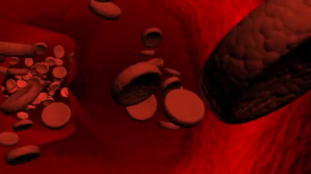 Sangue che scorre attraverso le vene umane — Video Stock