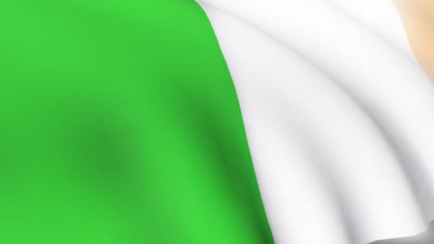 Irish Flag — Stock Video