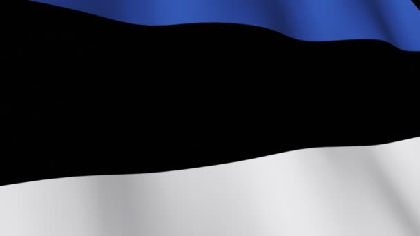 Bandera Nacional de Estonia — Vídeos de Stock