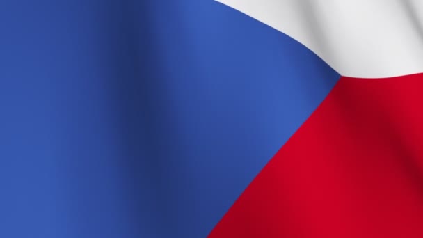 Czech Republic Flag — Stock Video