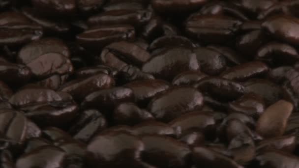咖啡豆 — 图库视频影像
