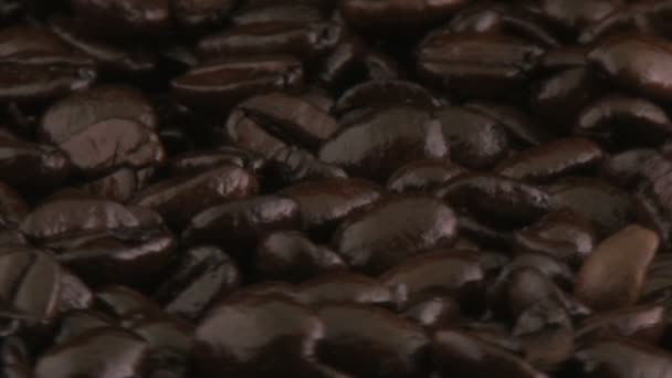 Chicchi di caffè — Video Stock