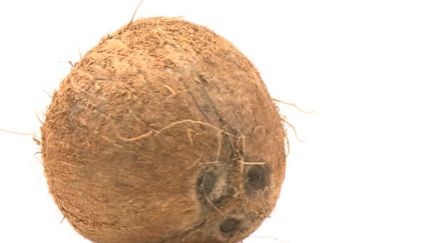 Kokosnuss — Stockvideo
