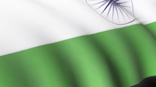 Indian Flag — Stock Video