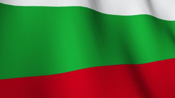 Hungarian Flag — Stock Video