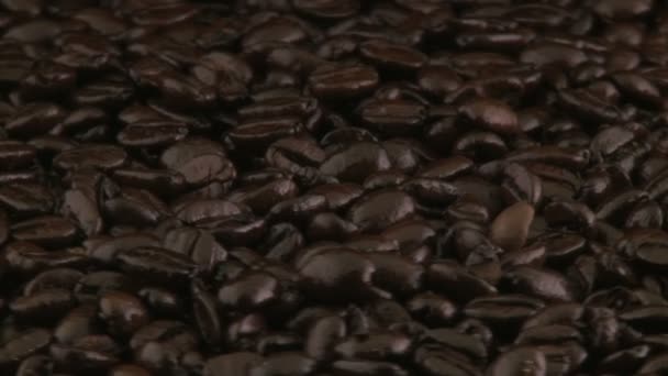 Coffee beans — Stock Video