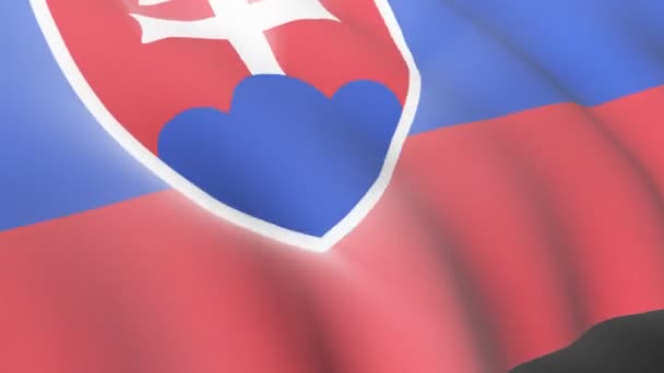 Slovak Flag — Stock Video