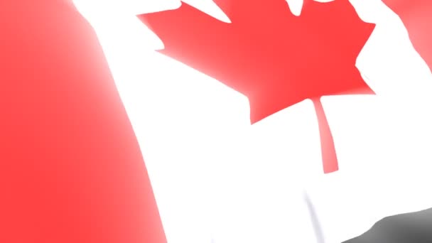 Kanadai zászló a szél fúj — Stock videók