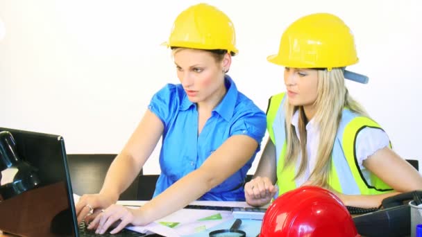Architect vrouwen werken samen in kantoor — Stockvideo