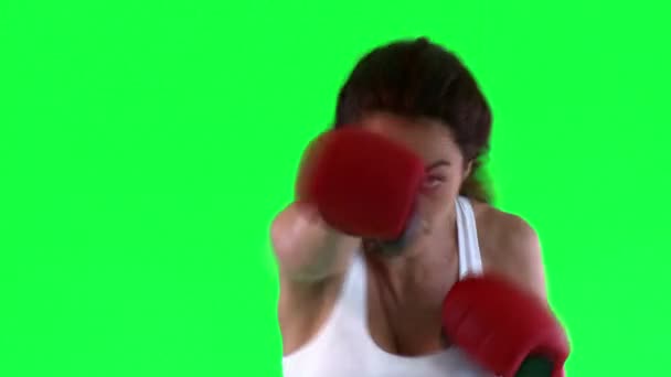Athletische junge Frau boxt — Stockvideo