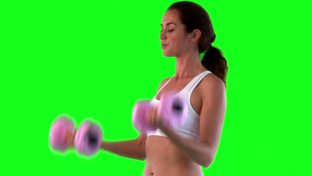 Athletic female exercising with dumbells — Stock Video