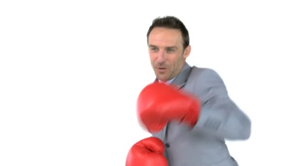 Hombre sonriente dando puñetazos con guantes de boxeo delante de la cámara — Vídeo de stock