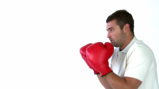 Hombre con guantes de boxeo delante de la cámara — Vídeo de stock