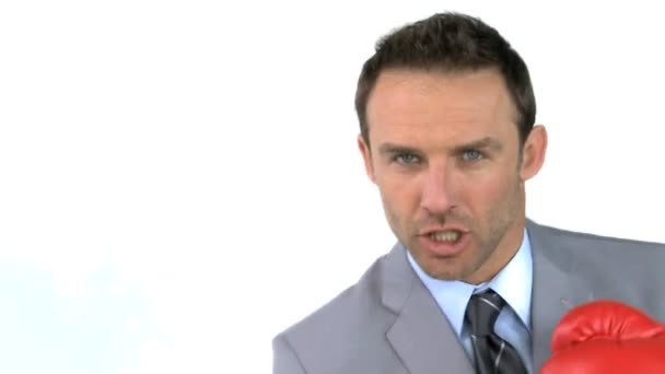 Angry businessman with boxing gloves — Stock Video