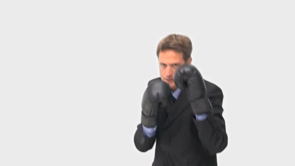 Businessman boxing towards the camera — Stock Video