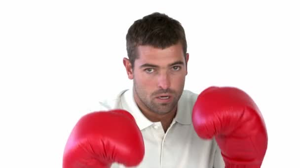 Hombre carismático con guantes de boxeo — Vídeo de stock