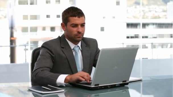 Empresários trabalhando em um computador — Vídeo de Stock