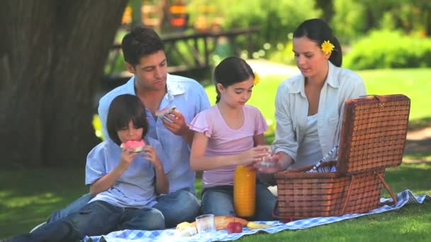 Attraktive Familie beim Picknick — Stockvideo